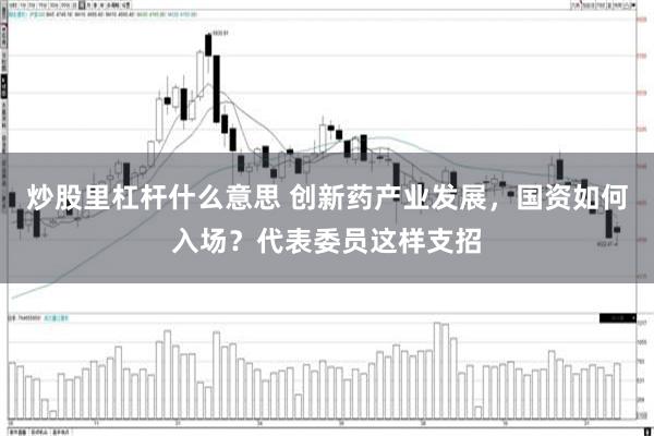 炒股里杠杆什么意思 创新药产业发展，国资如何入场？代表委员这样支招