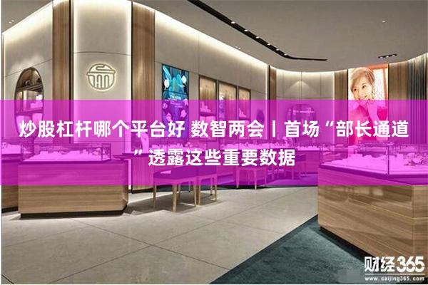 炒股杠杆哪个平台好 数智两会丨首场“部长通道”透露这些重要数据