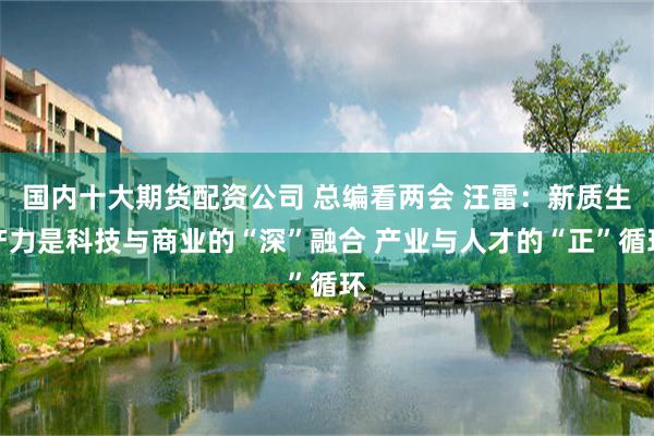 国内十大期货配资公司 总编看两会 汪雷：新质生产力是科技与商业的“深”融合 产业与人才的“正”循环