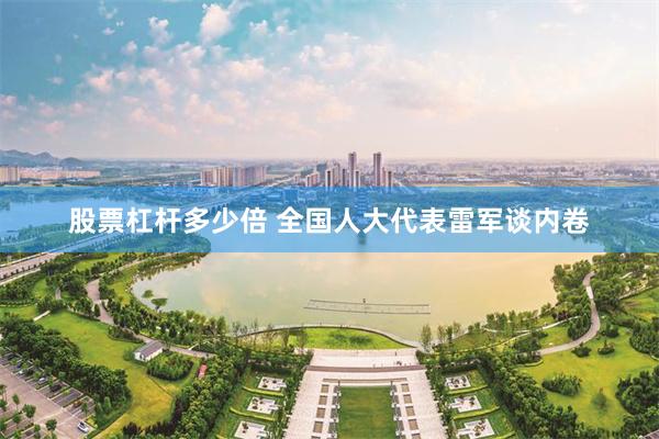 股票杠杆多少倍 全国人大代表雷军谈内卷