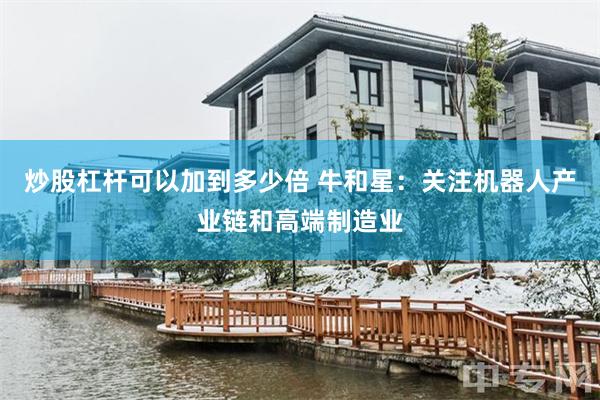 炒股杠杆可以加到多少倍 牛和星：关注机器人产业链和高端制造业
