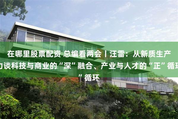 在哪里股票配资 总编看两会丨汪雷：从新质生产力谈科技与商业的“深”融合、产业与人才的“正”循环