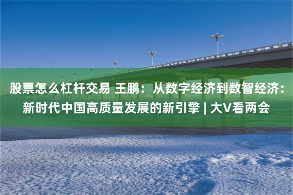 股票怎么杠杆交易 王鹏：从数字经济到数智经济：新时代中国高质量发展的新引擎 | 大V看两会