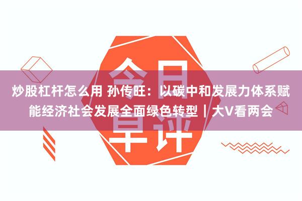炒股杠杆怎么用 孙传旺：以碳中和发展力体系赋能经济社会发展全面绿色转型｜大V看两会