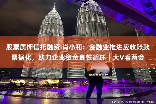 股票质押信托融资 肖小和：金融业推进应收账款票据化，助力企业资金良性循环｜大V看两会