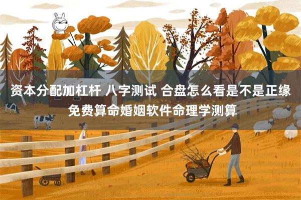 资本分配加杠杆 八字测试 合盘怎么看是不是正缘 免费算命婚姻软件命理学测算