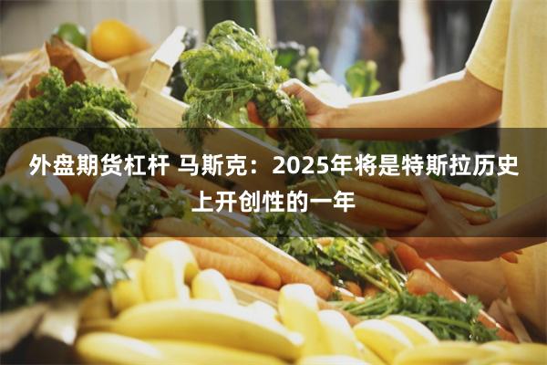 外盘期货杠杆 马斯克：2025年将是特斯拉历史上开创性的一年
