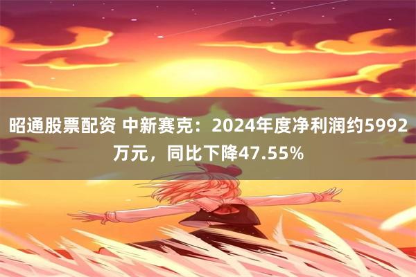 昭通股票配资 中新赛克：2024年度净利润约5992万元，同比下降47.55%