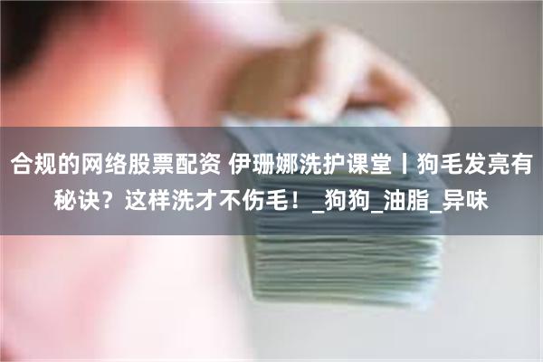 合规的网络股票配资 伊珊娜洗护课堂丨狗毛发亮有秘诀？这样洗才不伤毛！_狗狗_油脂_异味