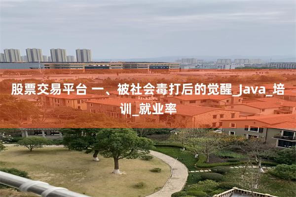 股票交易平台 一、被社会毒打后的觉醒_Java_培训_就业率