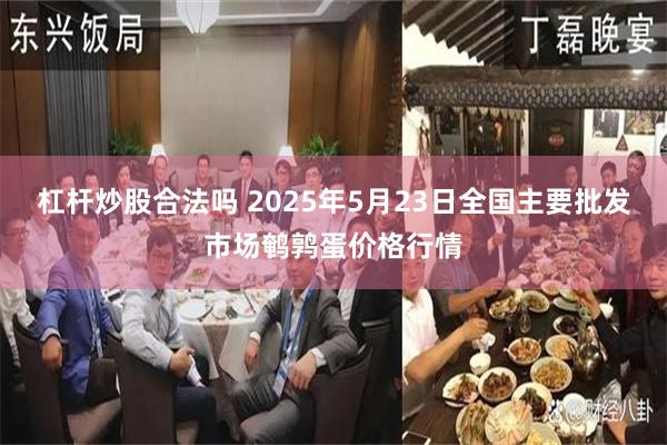 杠杆炒股合法吗 2025年5月23日全国主要批发市场鹌鹑蛋价格行情