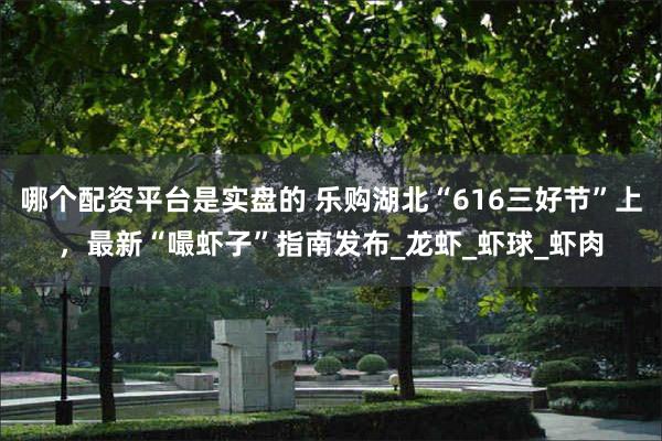 哪个配资平台是实盘的 乐购湖北“616三好节”上，最新“嘬虾子”指南发布_龙虾_虾球_虾肉