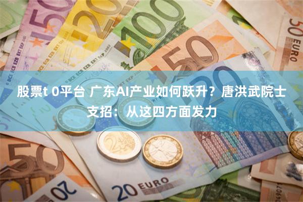 股票t 0平台 广东AI产业如何跃升？唐洪武院士支招：从这四方面发力