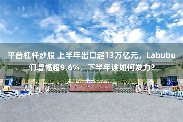平台杠杆炒股 上半年出口超13万亿元，Labubu们增幅超9.6%，下半年该如何发力？