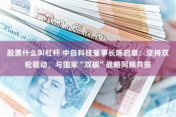 股票什么叫杠杆 中自科技董事长陈启章：坚持双轮驱动，与国家“双碳”战略同频共振