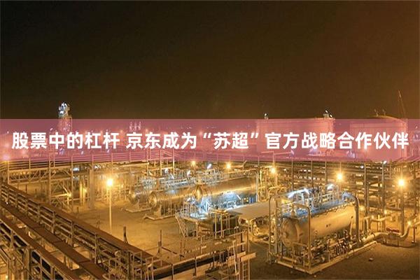 股票中的杠杆 京东成为“苏超”官方战略合作伙伴