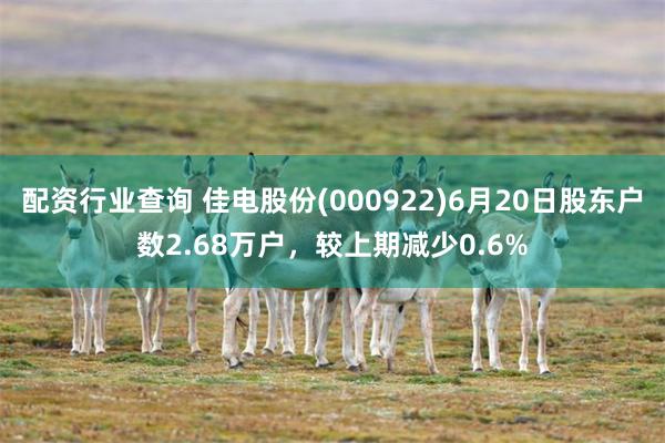 配资行业查询 佳电股份(000922)6月20日股东户数2.68万户,较上期减少0.6%