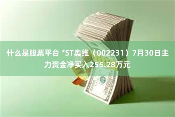 什么是股票平台 *ST奥维(002231)7月30日主力资金净买入255.28万元