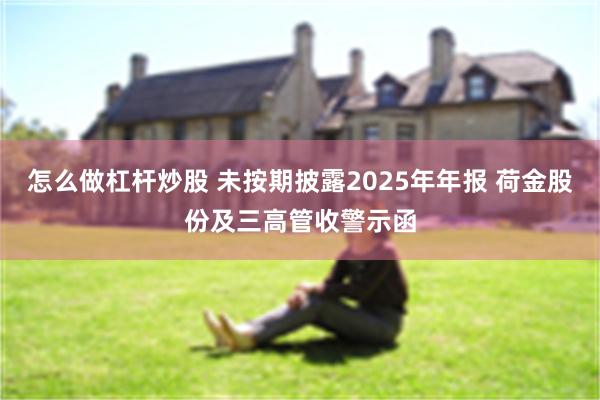 怎么做杠杆炒股 未按期披露2025年年报 荷金股份及三高管收警示函