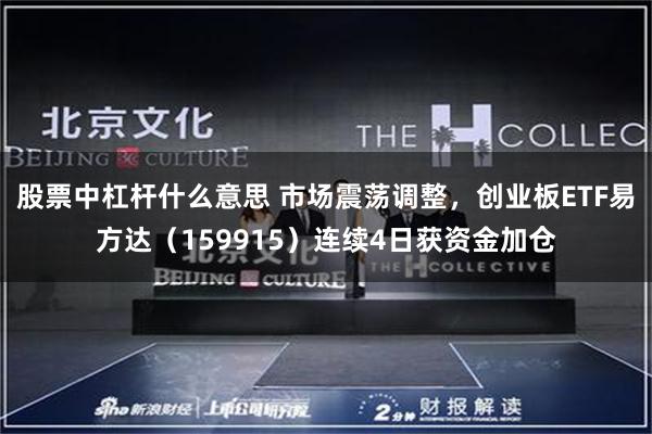 股票中杠杆什么意思 市场震荡调整,创业板ETF易方达(159915)连续4日获资金加仓