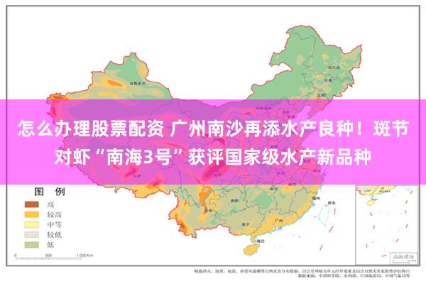 怎么办理股票配资 广州南沙再添水产良种!斑节对虾“南海3号”获评国家级水产新品种