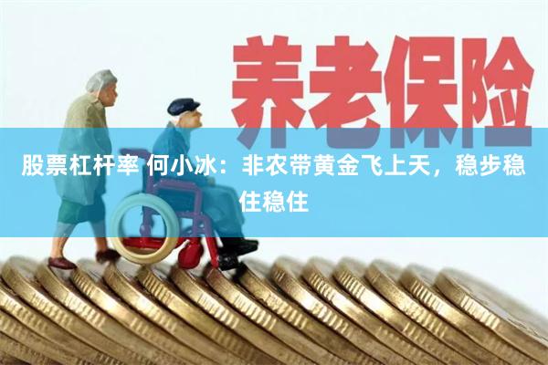 股票杠杆率 何小冰:非农带黄金飞上天,稳步稳住稳住