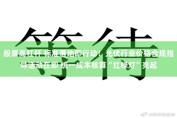 股票高杠杆 标准落地即行动！光伏行业价格合规指导活动在即 统一成本核算“红绿灯”亮起