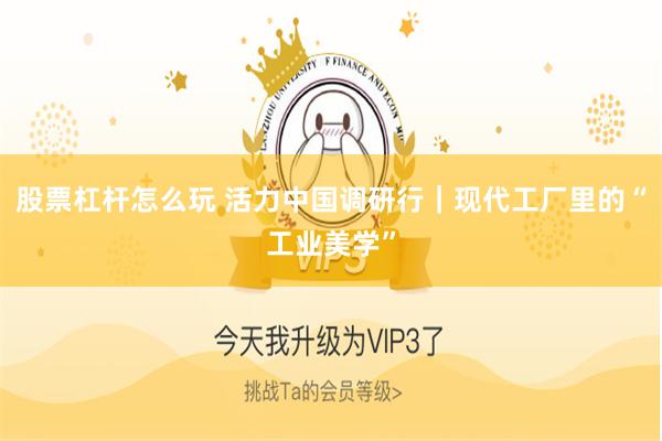 股票杠杆怎么玩 活力中国调研行｜现代工厂里的“工业美学”
