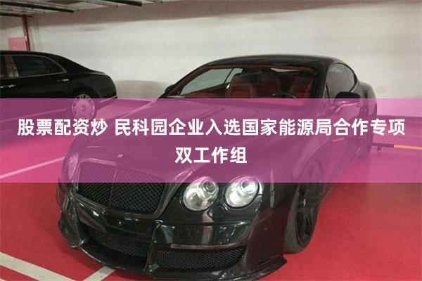 股票配资炒 民科园企业入选国家能源局合作专项双工作组
