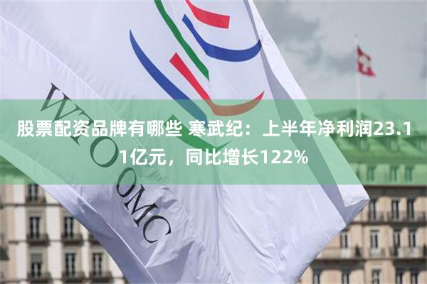 股票配资品牌有哪些 寒武纪:上半年净利润23.11亿元,同比增长122%