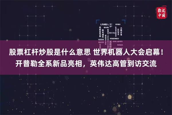 股票杠杆炒股是什么意思 世界机器人大会启幕!开普勒全系新品亮相,英伟达高管到访交流