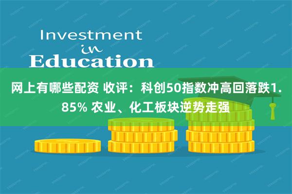 网上有哪些配资 收评：科创50指数冲高回落跌1.85% 农业、化工板块逆势走强