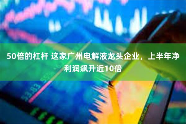 50倍的杠杆 这家广州电解液龙头企业，上半年净利润飙升近10倍