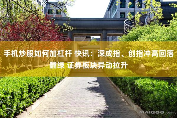 手机炒股如何加杠杆 快讯：深成指、创指冲高回落翻绿 证券板块异动拉升