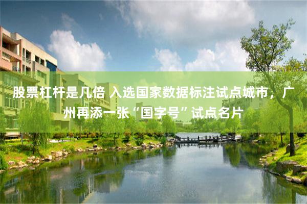 股票杠杆是几倍 入选国家数据标注试点城市，广州再添一张“国字号”试点名片