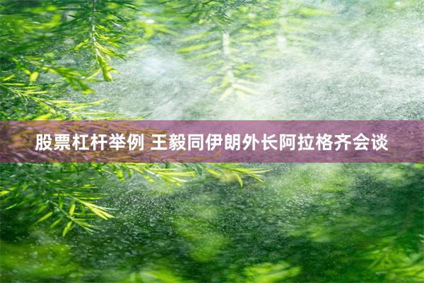 股票杠杆举例 王毅同伊朗外长阿拉格齐会谈