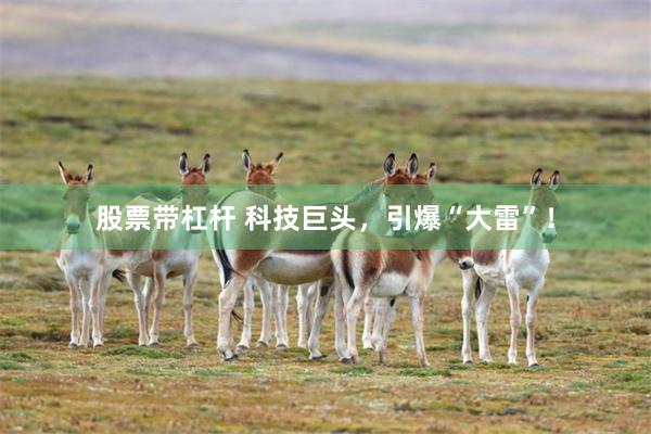 股票带杠杆 科技巨头，引爆“大雷”！