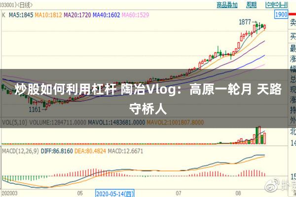 炒股如何利用杠杆 陶冶Vlog：高原一轮月 天路守桥人
