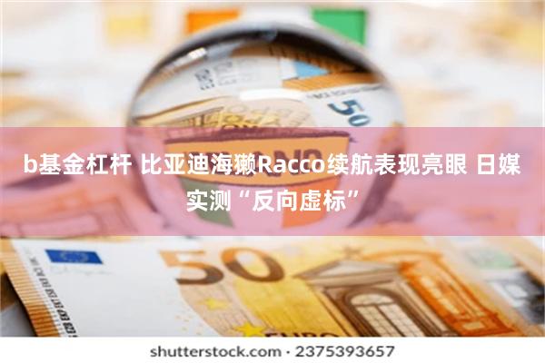 b基金杠杆 比亚迪海獭Racco续航表现亮眼 日媒实测“反向虚标”