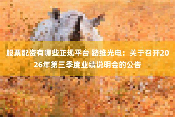 股票配资有哪些正规平台 路维光电：关于召开2026年第三季度业绩说明会的公告