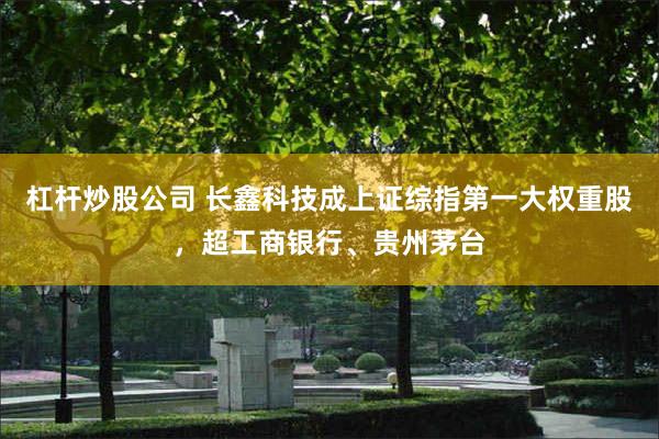 杠杆炒股公司 长鑫科技成上证综指第一大权重股，超工商银行、贵州茅台